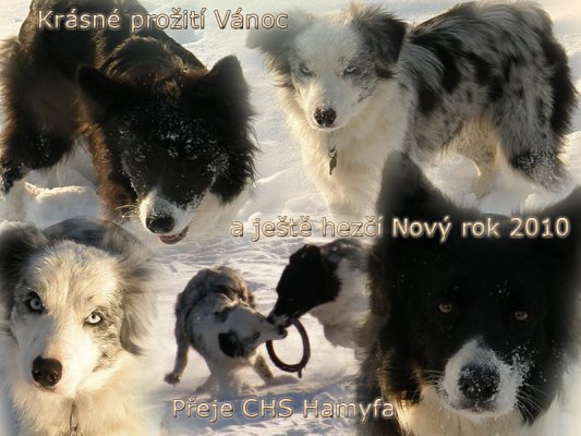 boc_hamyfa - klikni pro větší velikost