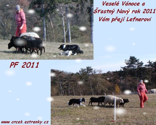 4_pf 2o11 - klikni pro větší velikost