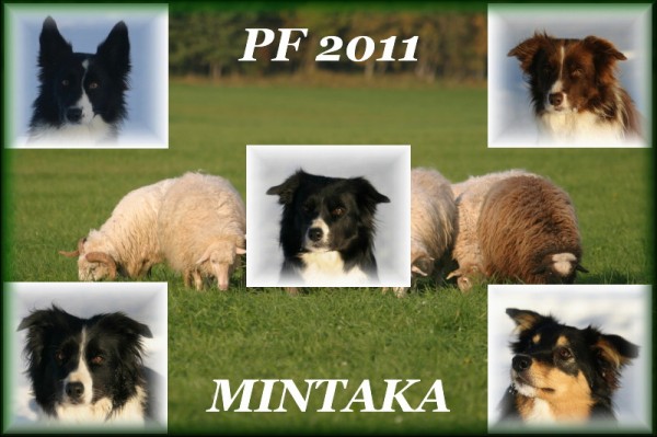5_pf 2o11 - klikni pro větší velikost